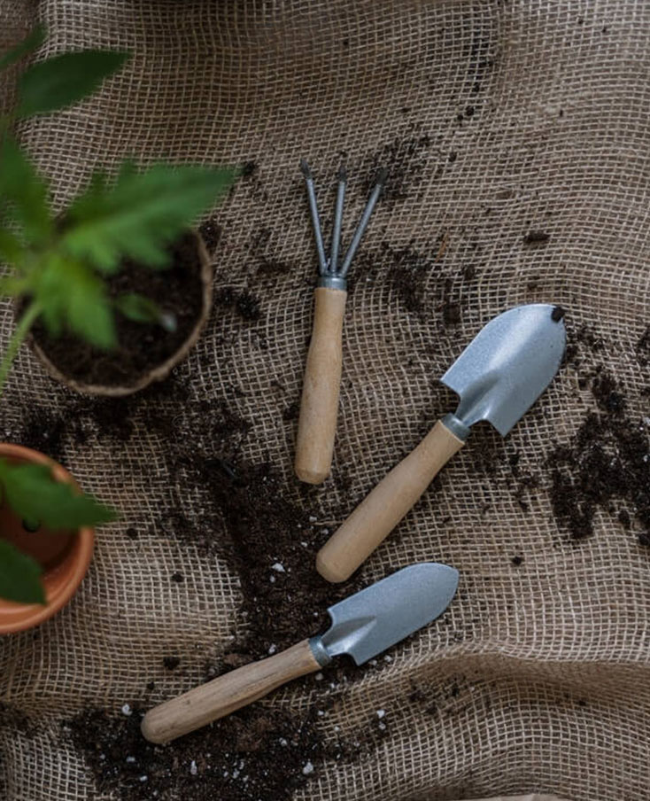 गांव की खेती की जानकारी- a group of gardening tools on a burlap surface