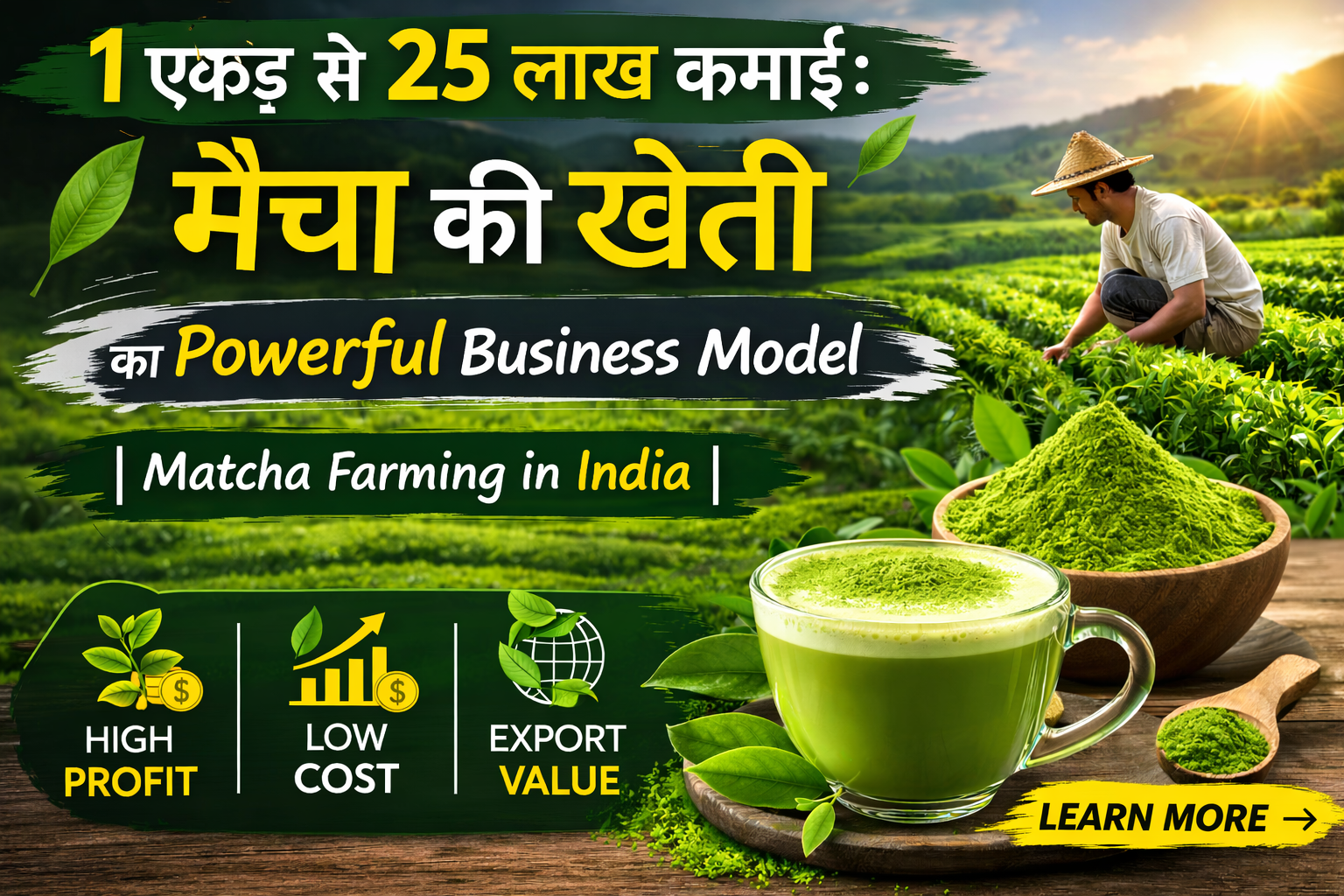 matcha ki kheti ,matcha ,