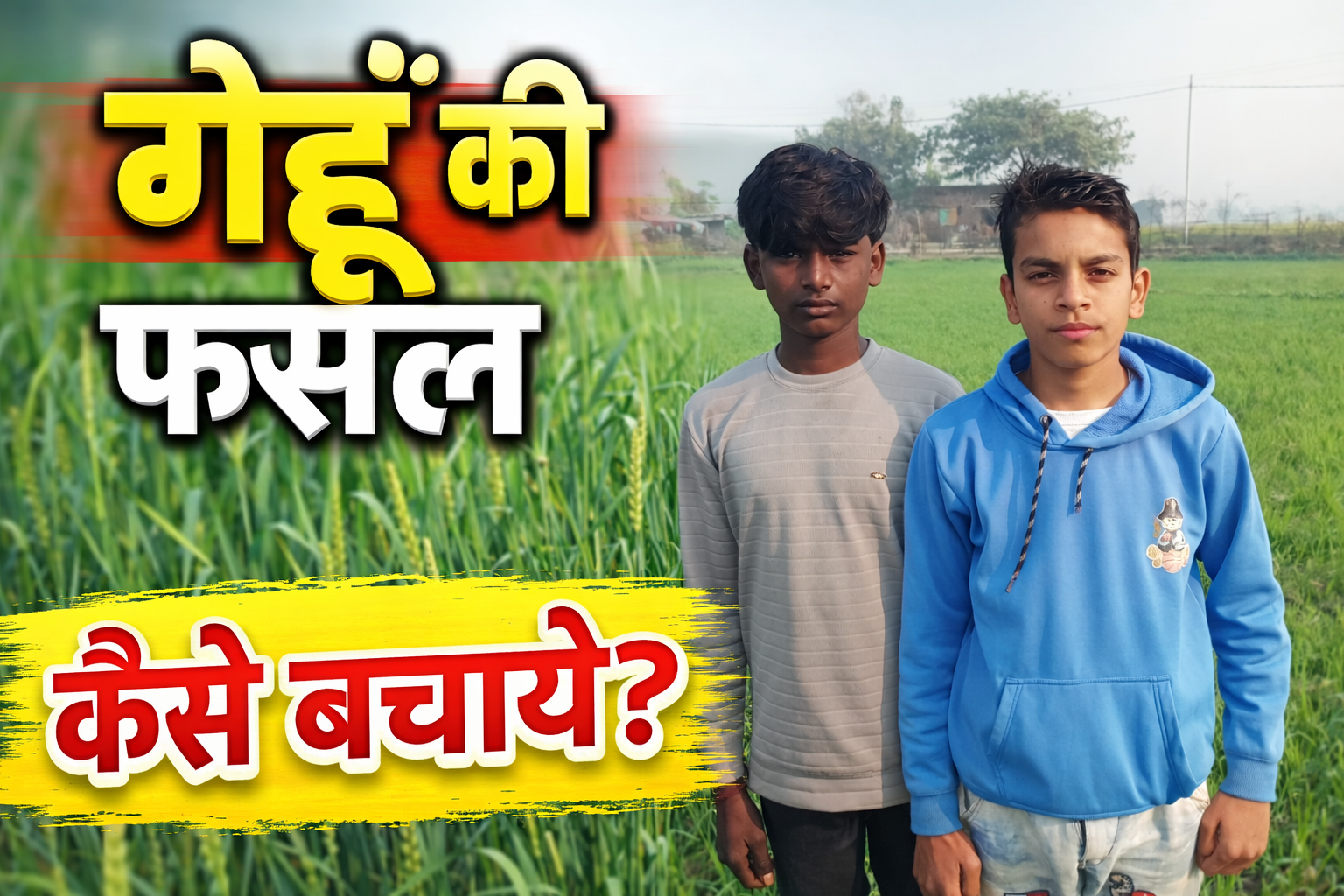 गेहू मे रोग लगाने से कैसे बचाए UTTAR PARDESH KI FASL ,GEHU KI FASAL