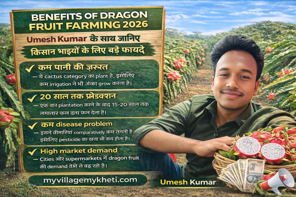 Dragon Fruit Farming, 2026: Dragon, Fruit,