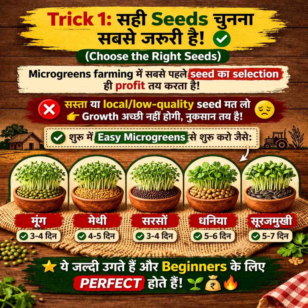 Microgreens Farming,Microgreens,microgreens farming in india,microgreens farming at home